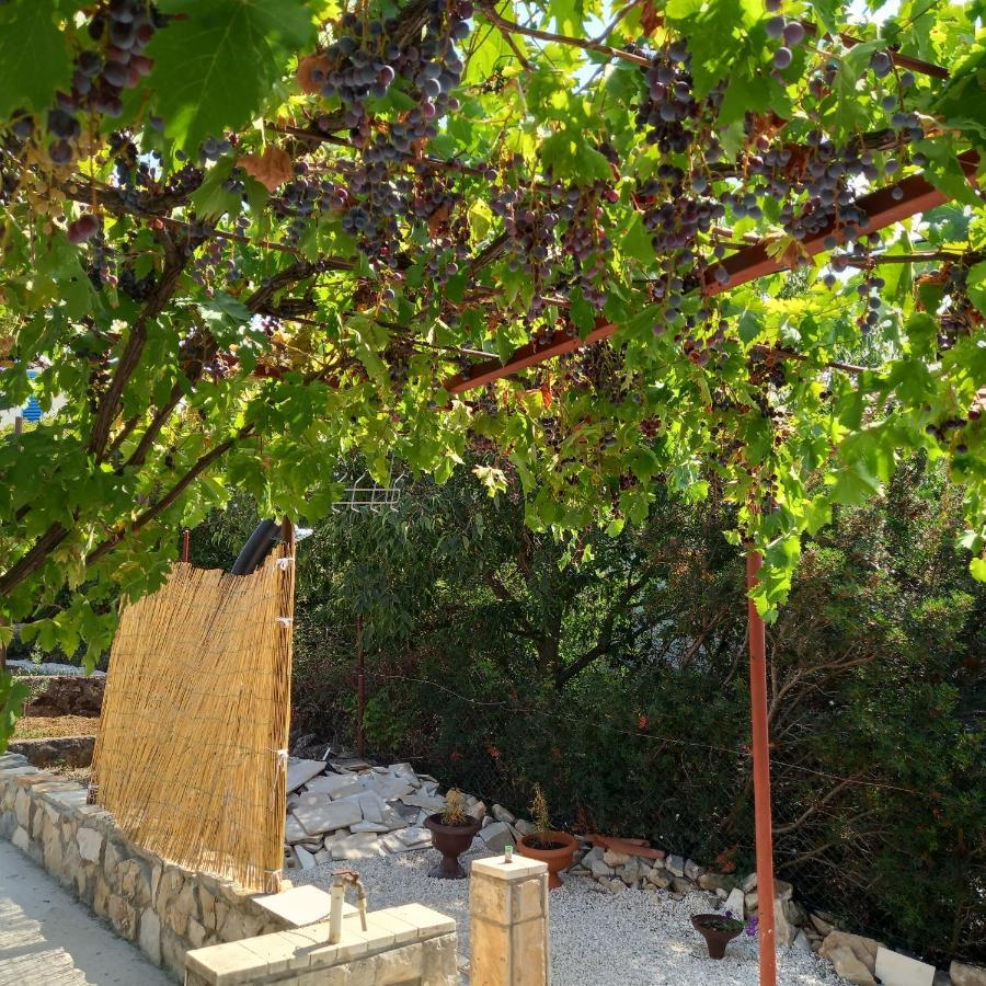 Kuca Za Odmor Skalina Holiday home