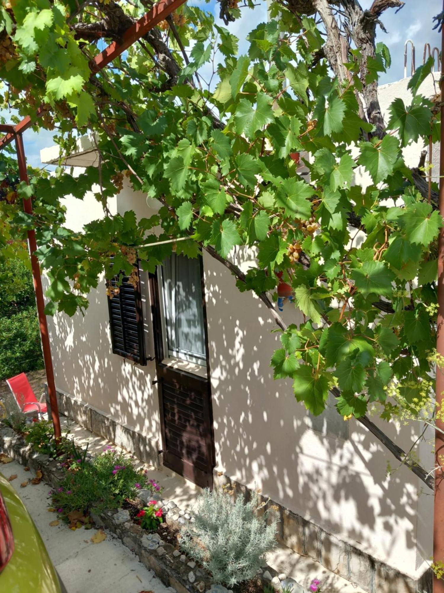 Kuca Za Odmor Skalina Holiday home *